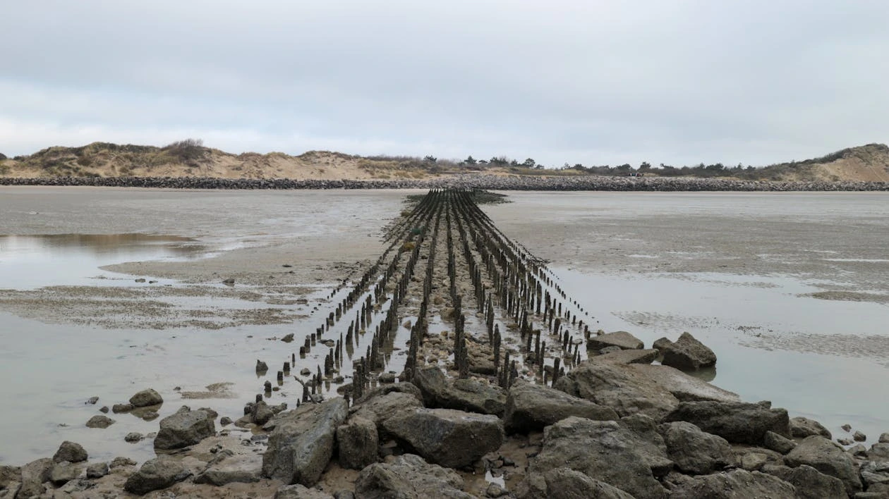 Vue sur la plage de Berck-sur-Mer.