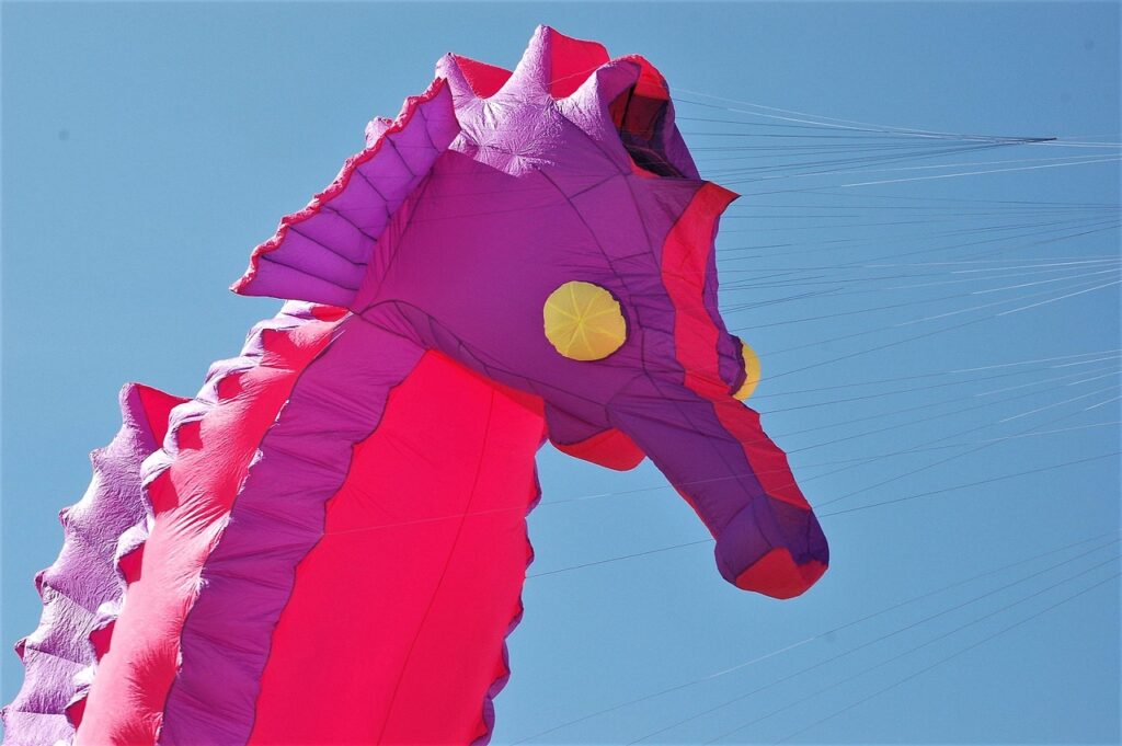 Cerf-Volant à Berck