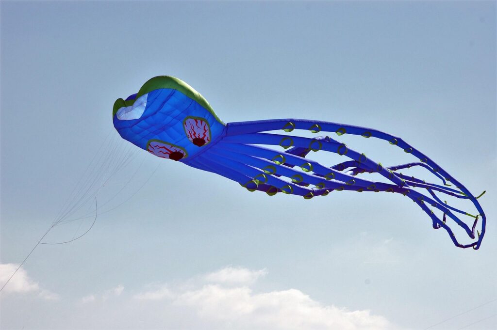 Rencontres Internationales des Cerfs-Volants