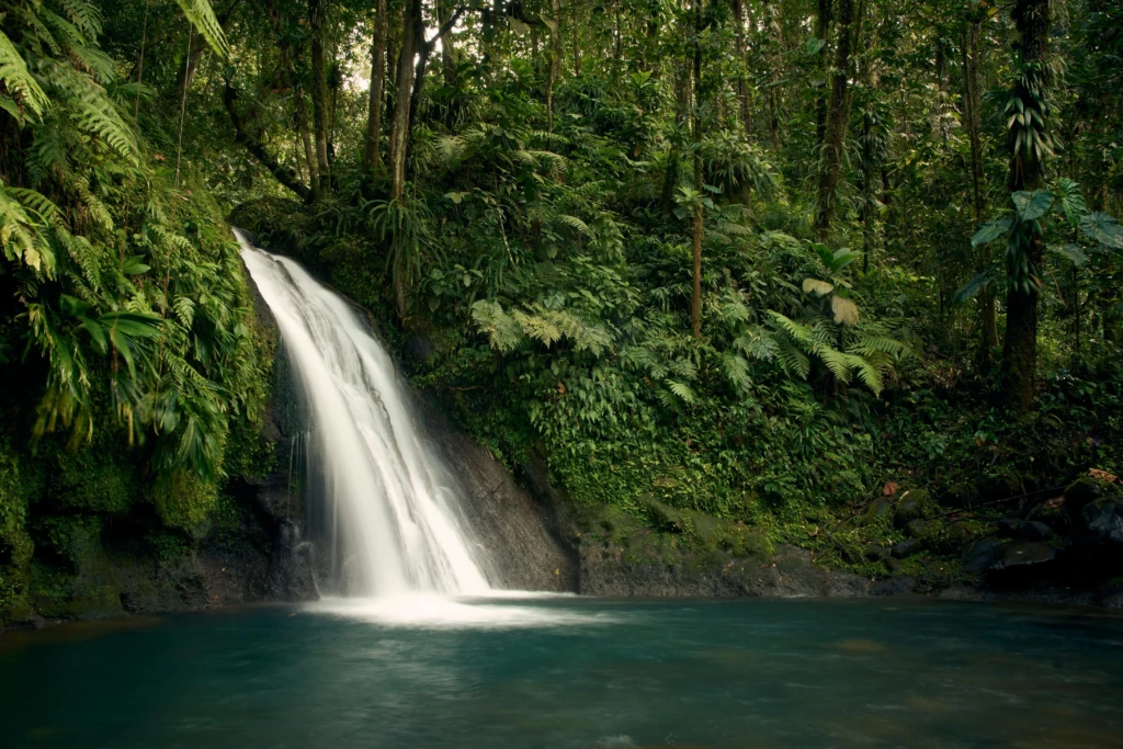 cascade guadeloupe