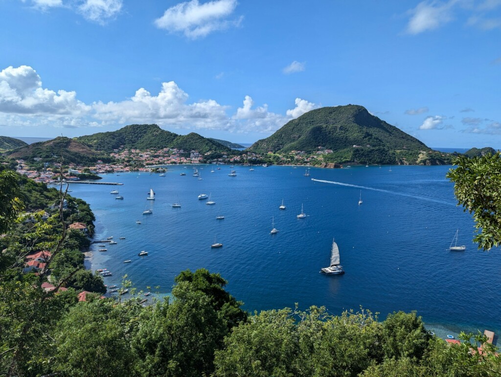 A large body of water surrounded by trees