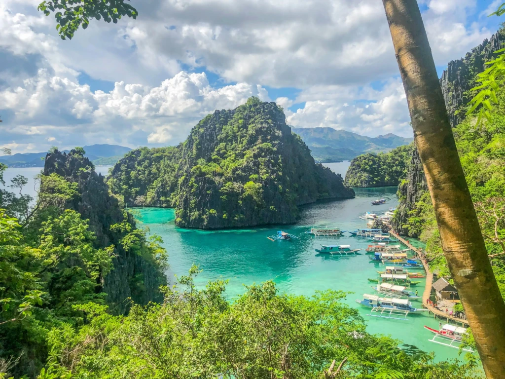 philippine coron