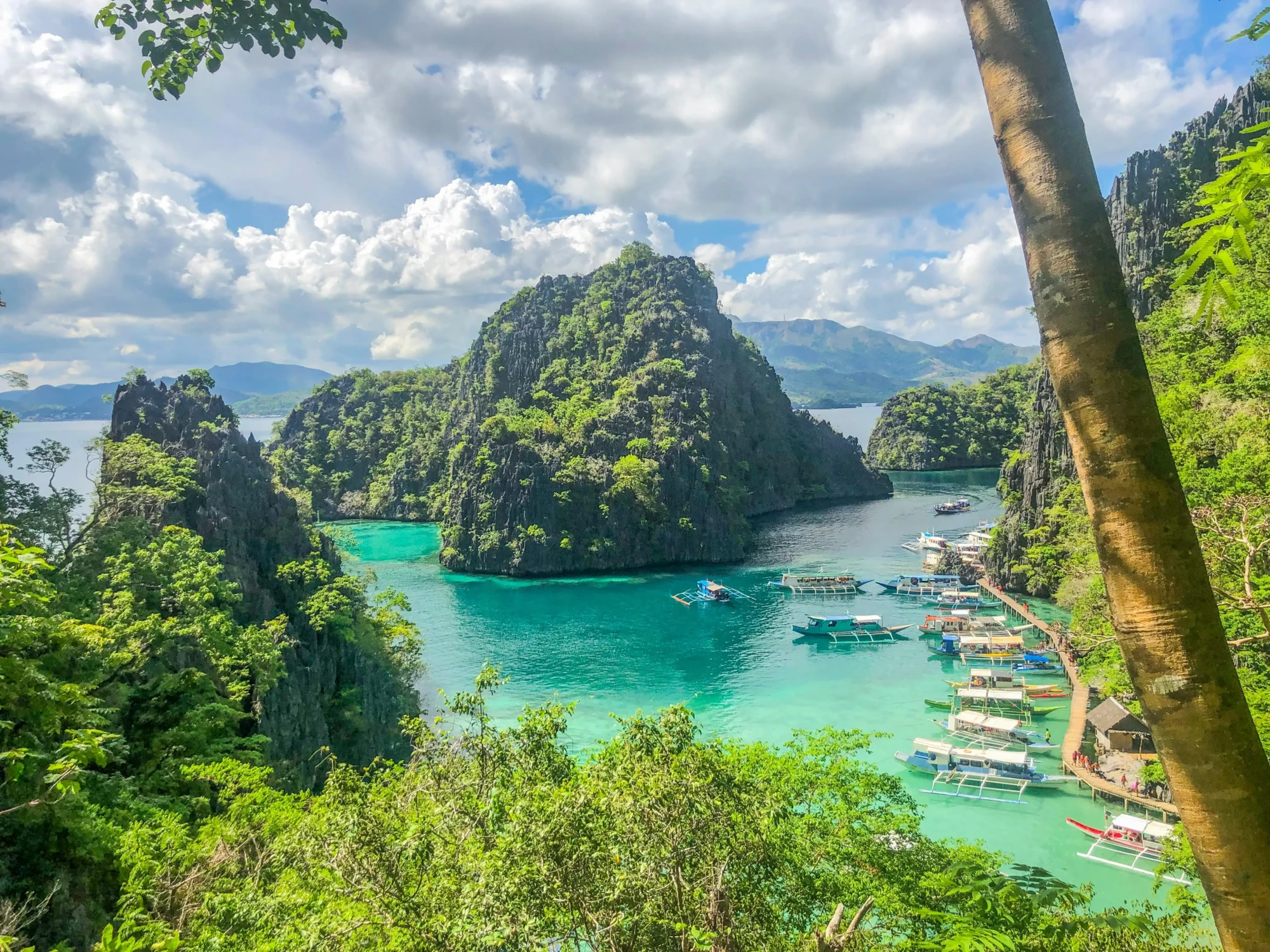 philippine coron