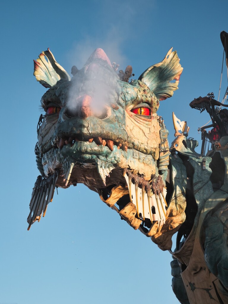 Dragon de Calais
