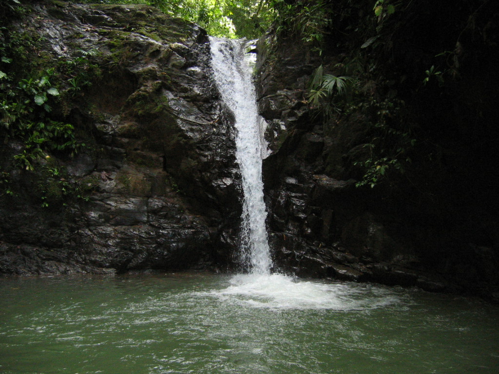 Cascade à Uvita