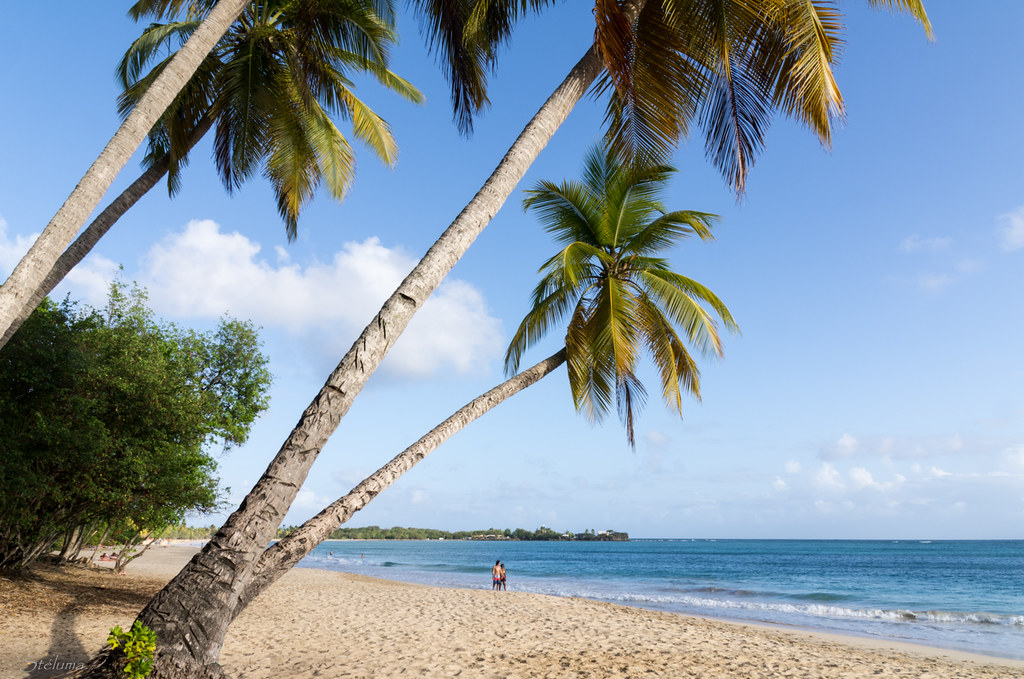 Plage des Salines - Martinique